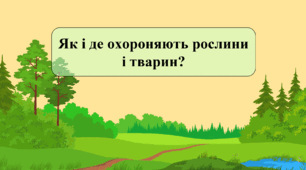 Як і де охороняють рослини і тварин?