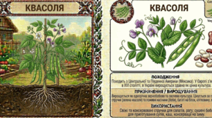 На гостини до городу