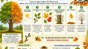 Плакат «Як дерево готується до осені?»
