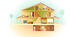 What's the difference: House vs. Home (A1-A2)