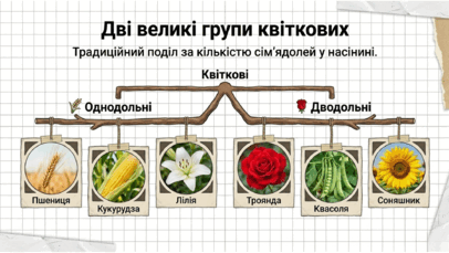 09025mj5-9f67-406x229.png