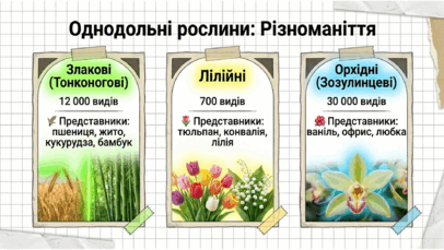 09025mj6-6bda-406x229.png