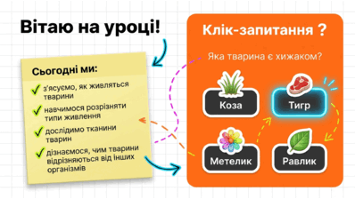 09025mlm-1187-398x224.png