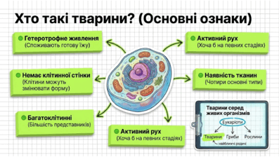 09025mlp-78ad-397x224.png