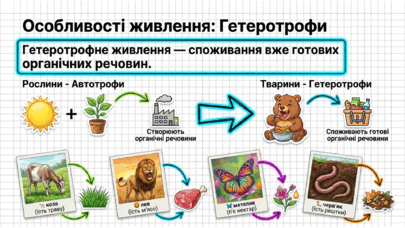 09025mlr-7ae9-405x228.png