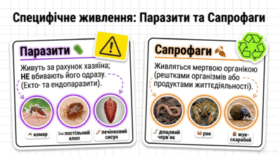 09025mls-2d95-395x222.png