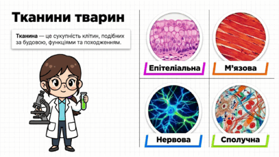 09025mlv-8ce6-407x229.png