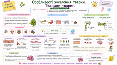 09025mlx-56f6-394x221.png