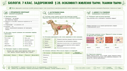 09025mm0-0dd3-418x235.png