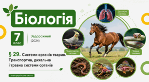 Системи органів тварин. Транспортна, дихальна і травна системи органів. Презентація, інфографіка, робочий аркуш