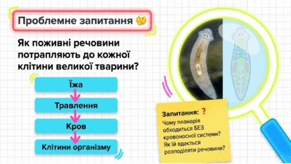 09025moi-3037-414x233.png
