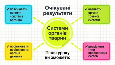 09025mon-ca8d-396x223.png