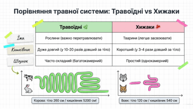 09025mos-950e-396x223.png