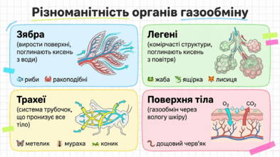 09025mow-add5-393x221.png