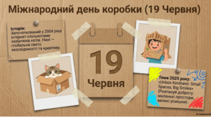 19 червня - Міжнародний день коробки