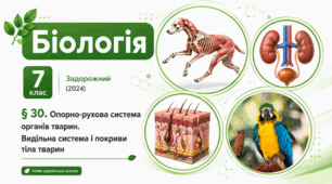 Опорно-рухова система органів. Видільна система і покриви тіла. Презентація, інфографіка, робочий аркуш