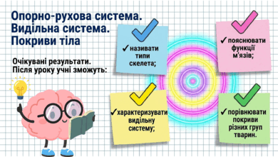09025n6m-f871-390x220.png
