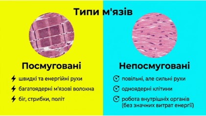 09025n6n-6b4e-421x237.png