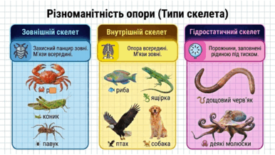 09025n6p-31ee-386x218.png