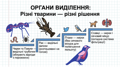 09025n6q-8f34-414x233.png