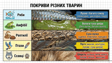 09025n6r-ba2c-378x213.png