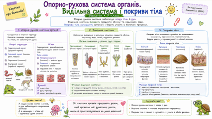 09025n6v-ccf4-426x240.png