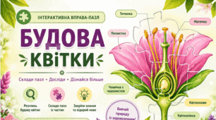 Пазл: "Будова квітки"🌼🌺🌷