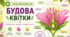 Пазл: "Будова квітки"🌼🌺🌷