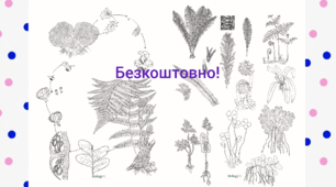​🌿 Ботанічний детектив: Таємниці папоротей (Інтерактивні робочі аркуші-розмальовки)