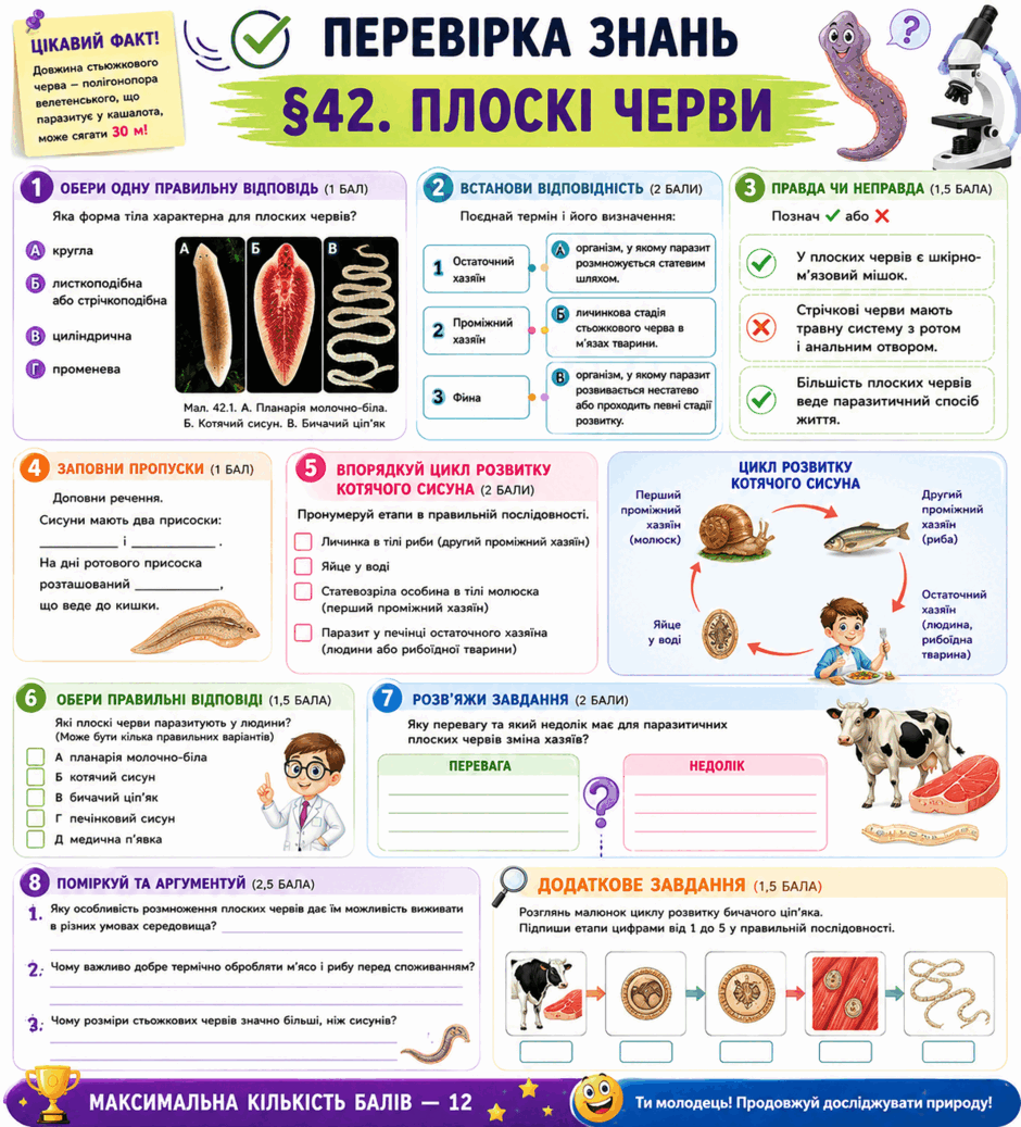 09025pza-a38c-940x1037.png