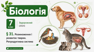 Розмноження і розвиток тварин. Репродуктивна система. Презентація, інфографіка, робочий аркуш