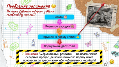 09025rxy-cd61-385x217.png