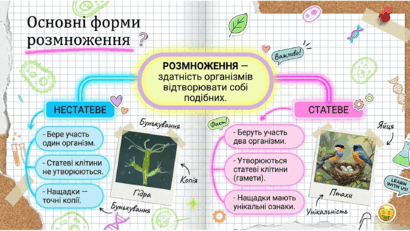 09025ry0-ad46-410x231.png