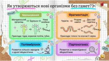 09025ry3-a677-381x214.png