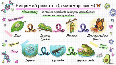 09025ry5-2c92-377x212.png