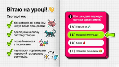 09025ryj-4639-384x216.png