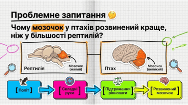 09025ryp-fd81-384x216.png