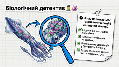 09025rz2-af00-417x235.png