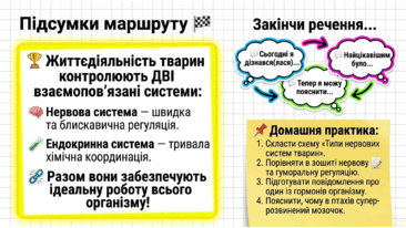 09025rz8-fd68-366x206.png