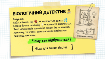09025s3k-3125-412x232.png