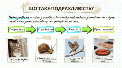09025s3q-11ba-399x225.png