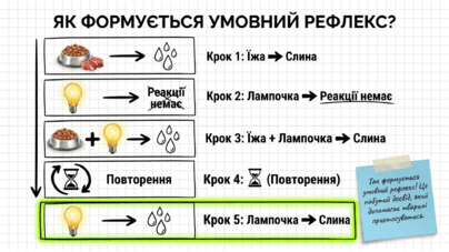 09025s3r-e5fa-404x227.png