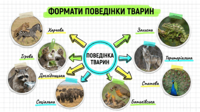 09025s3t-bd56-398x224.png