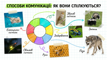09025s3u-5163-412x232.png