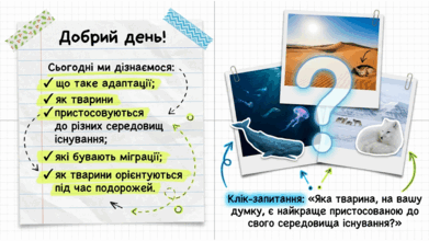 09025s61-252c-391x220.png