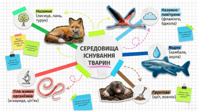 09025s64-40fd-392x221.png