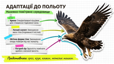 09025s66-d4e9-395x222.png