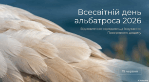19 червня - Всесвітній день альбатроса