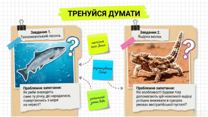 09025s6l-cf63-416x234.png
