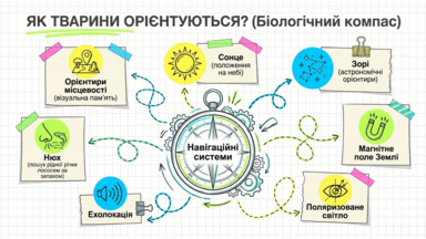 09025s6n-6aa6-384x216.png